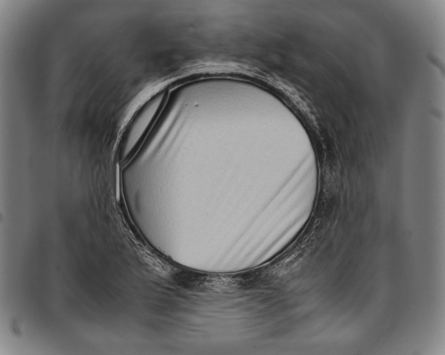 X0000097001175200802291140