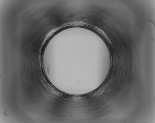 X0000097001176200802291140