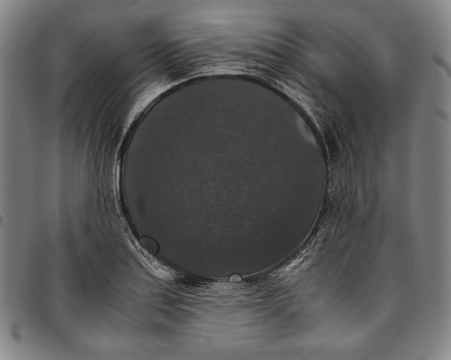 X0000097001179200802291140