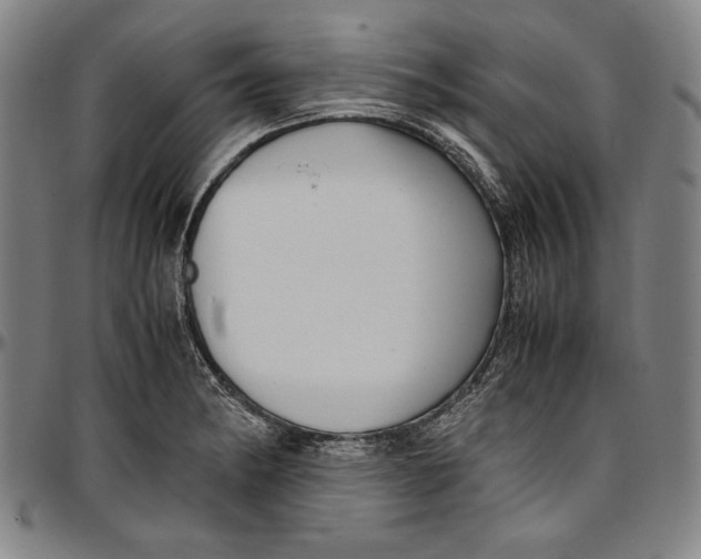 X0000097001182200802291140