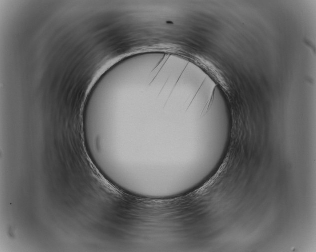 X0000097001184200802291140