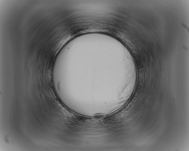 X0000097001185200802291140