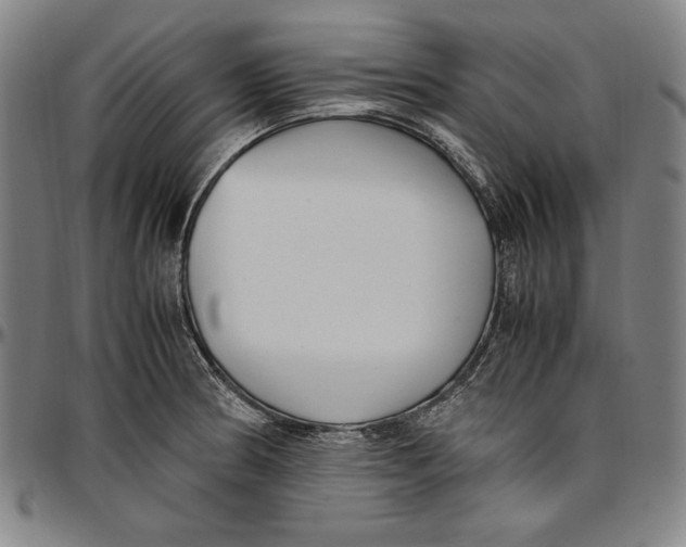 X0000097001186200802291139