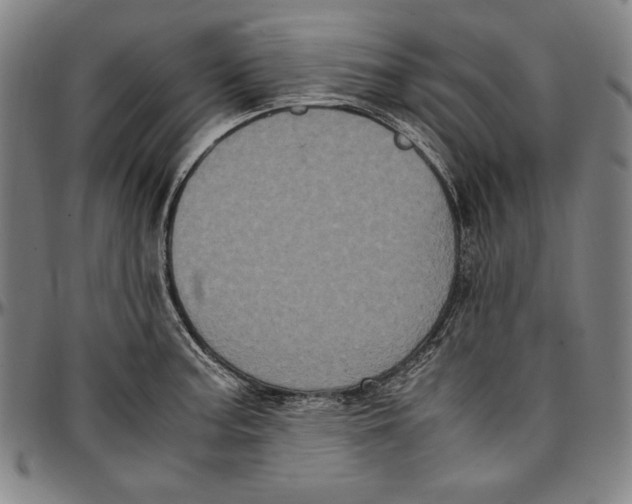 X0000097001187200802291139