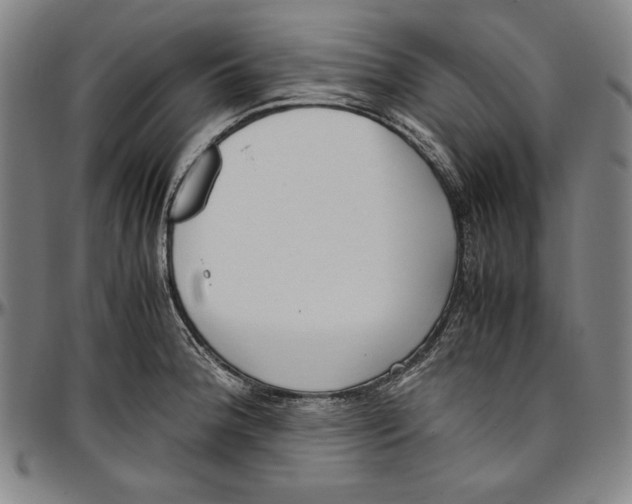 X0000097001188200802291139