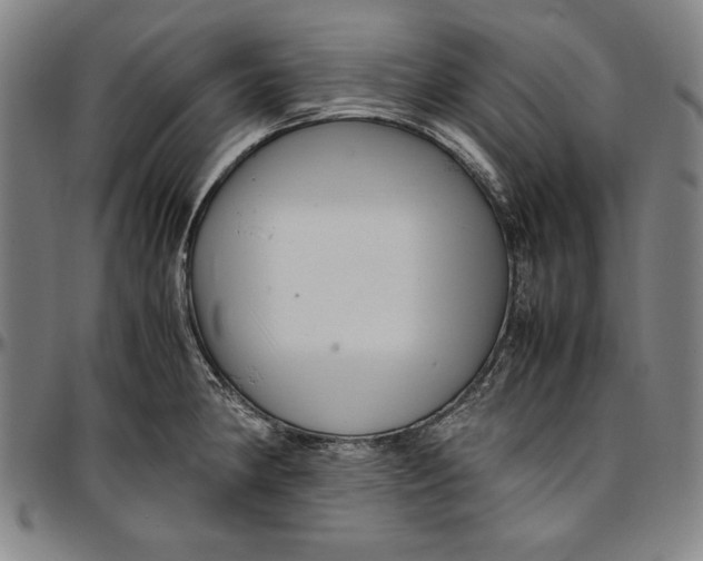 X0000097001190200802291139