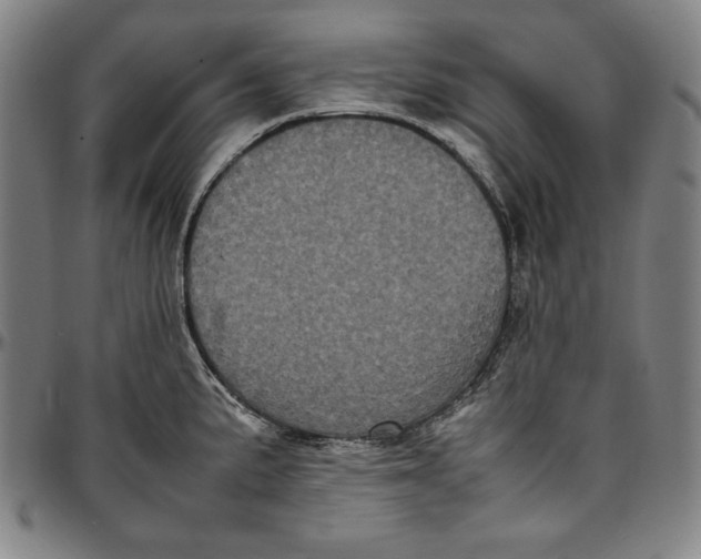 X0000097001191200802291139