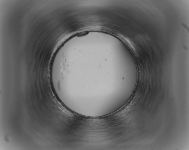 X0000097001192200802291139