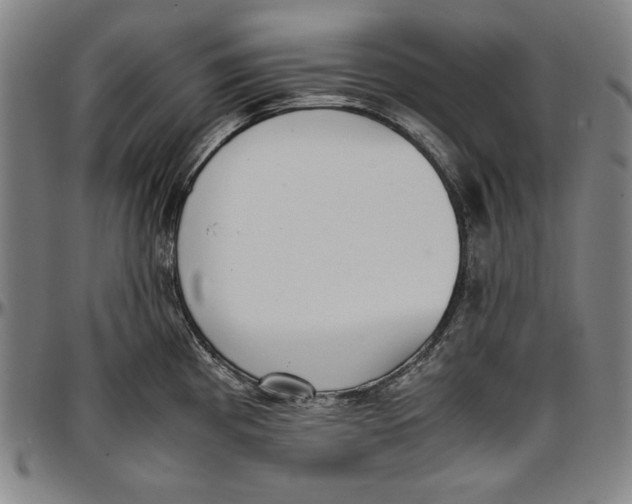 X0000097001193200802291139