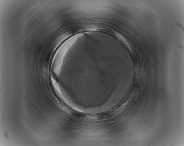 X0000097001194200802291139