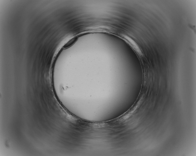 X0000097001196200802291139