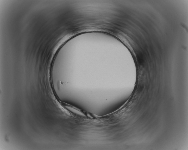 X0000097001197200802291139