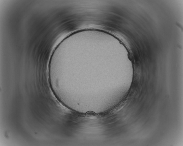 X0000097001199200802291139