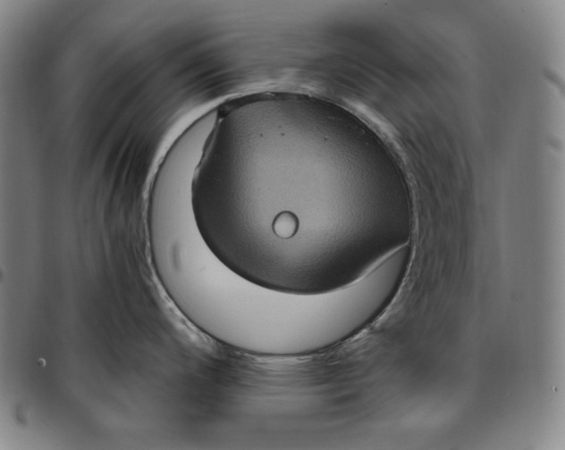 X0000097001200200802291139