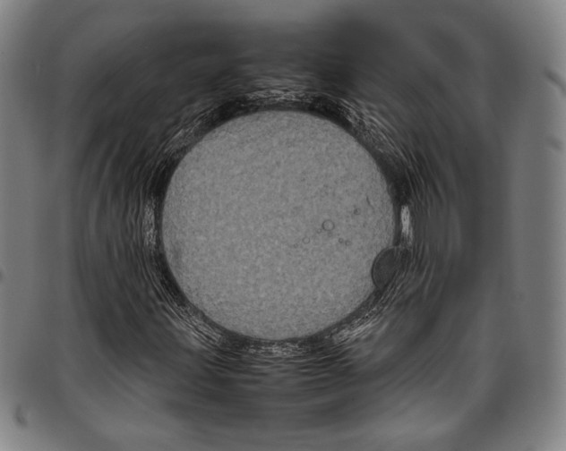 X0000097001203200802291139