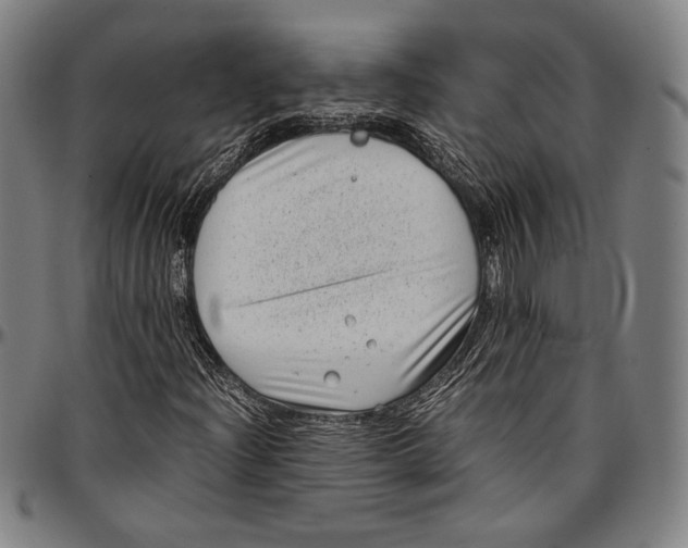 X0000097001204200802291139