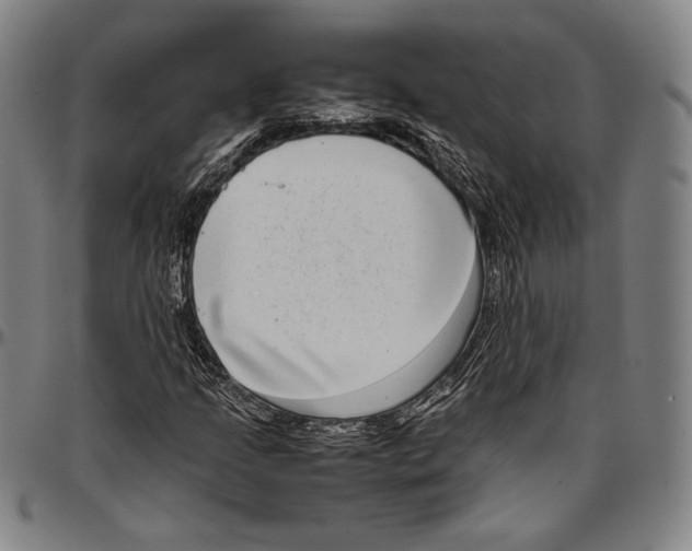 X0000097001205200802291139