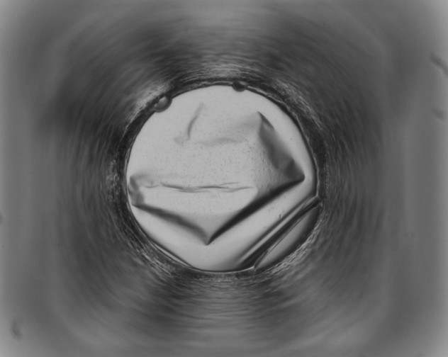 X0000097001210200802291139