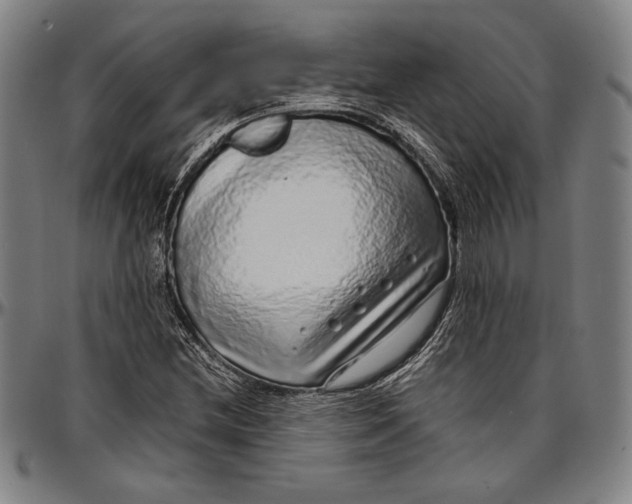 X0000097001212200802291139