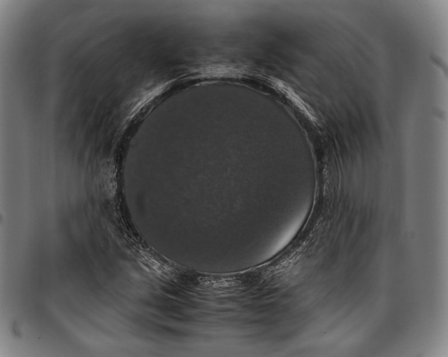 X0000097001213200802291139