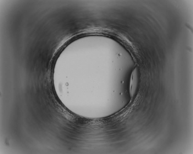 X0000097001216200802291139