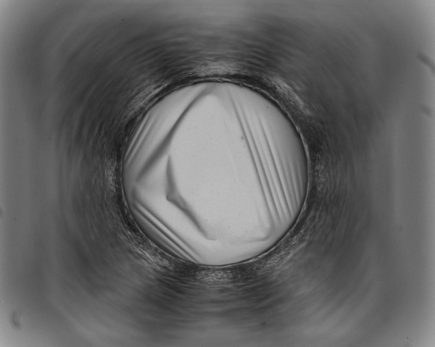 X0000097001217200802291139