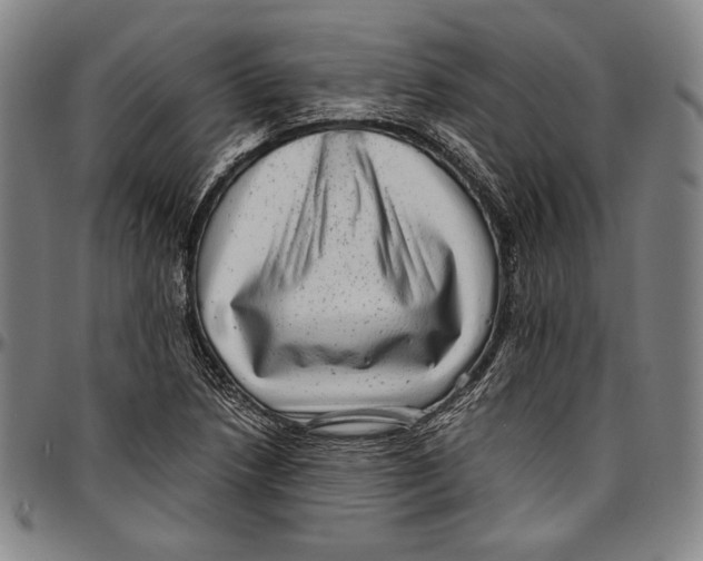 X0000097001218200802291139