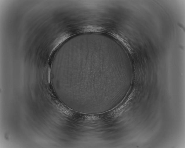 X0000097001219200802291139