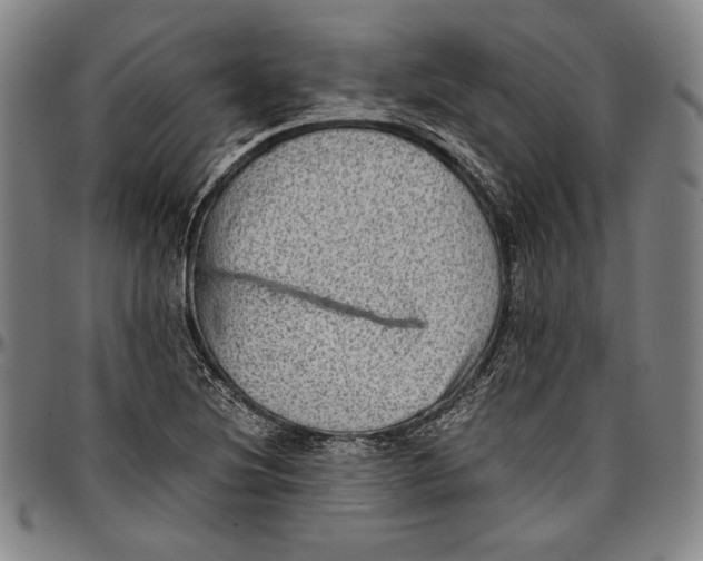 X0000097001220200802291139