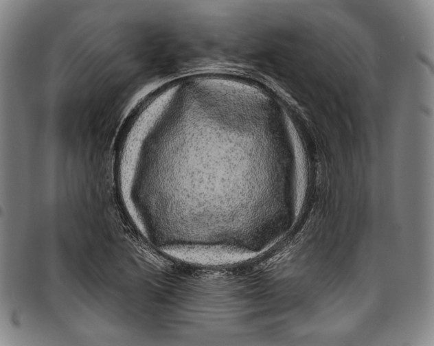 X0000097001222200802291139