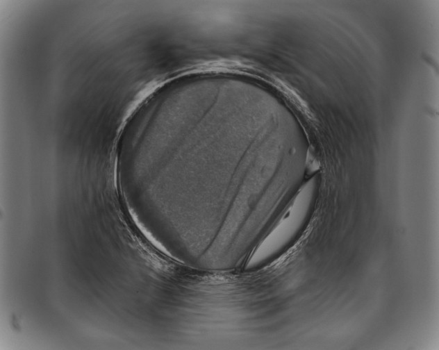 X0000097001224200802291139