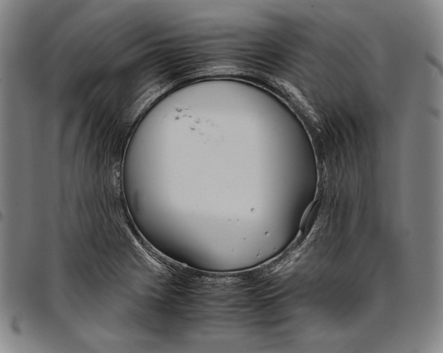 X0000097001225200802291139