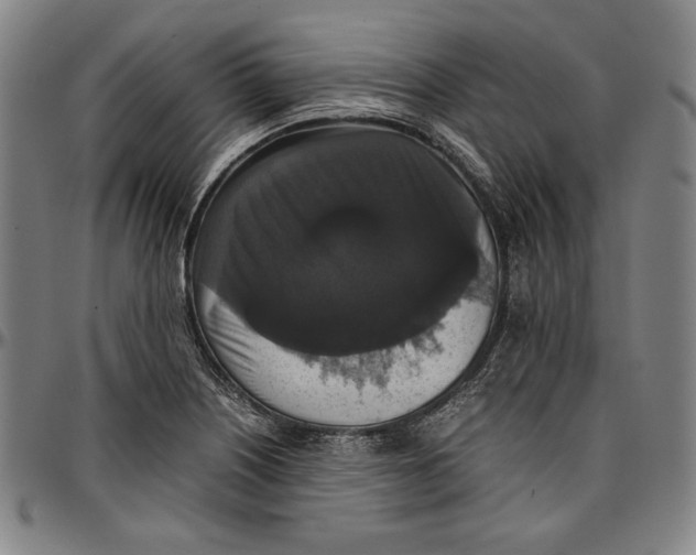 X0000097001226200802291139