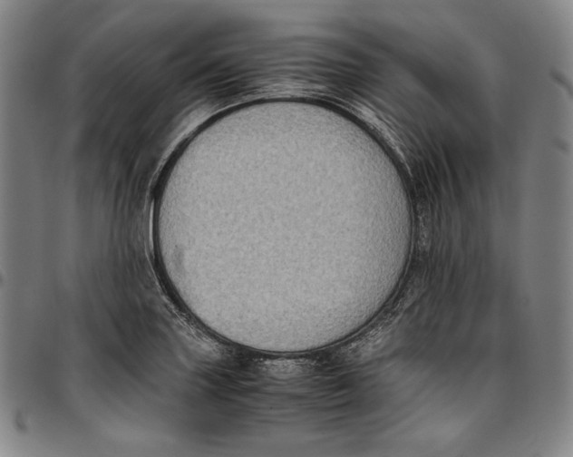 X0000097001227200802291139