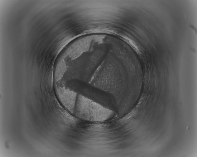 X0000097001228200802291139