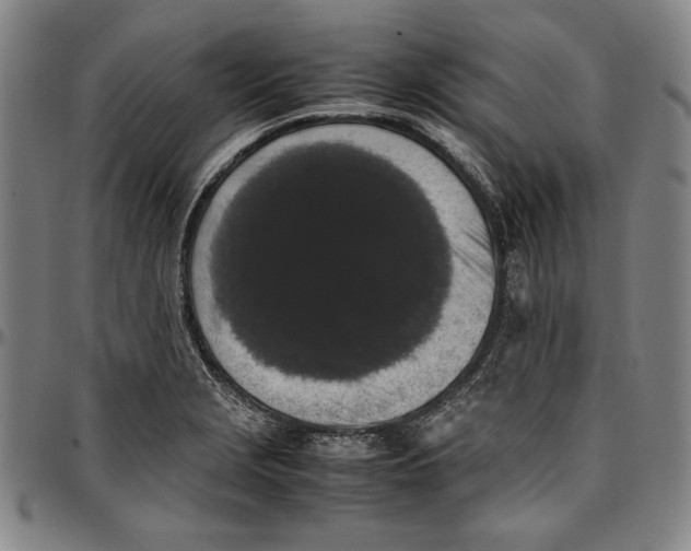 X0000097001229200802291139