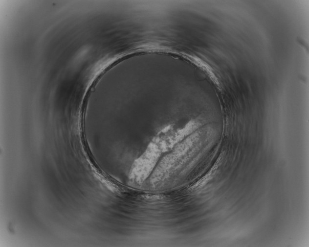 X0000097001231200802291139