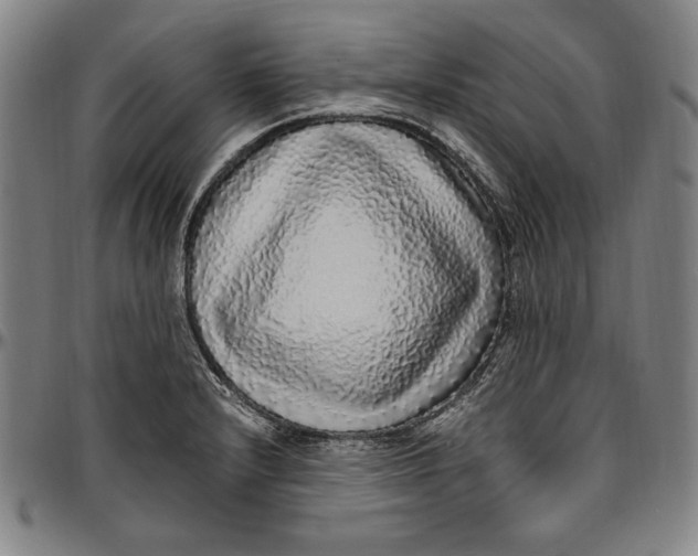 X0000097001232200802291139