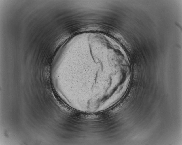 X0000097001233200802291139