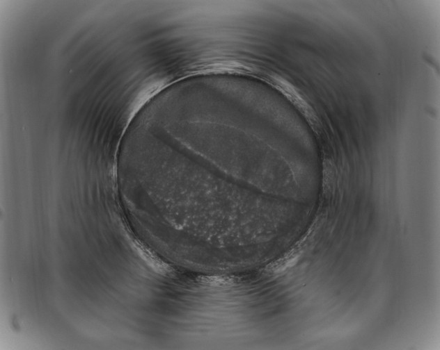 X0000097001234200802291139