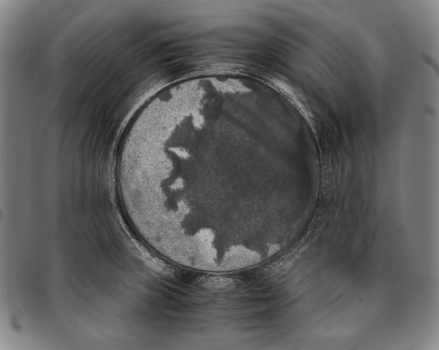 X0000097001235200802291139