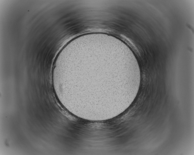 X0000097001236200802291139