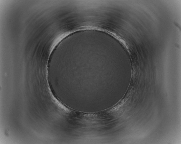 X0000097001239200802291139