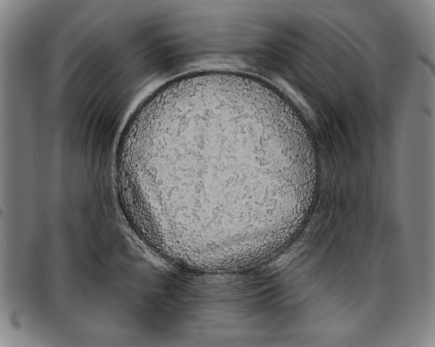 X0000097001240200802291139