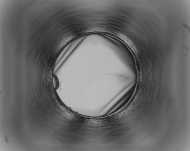 X0000097001241200802291139