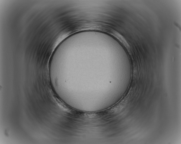 X0000097001242200802291139