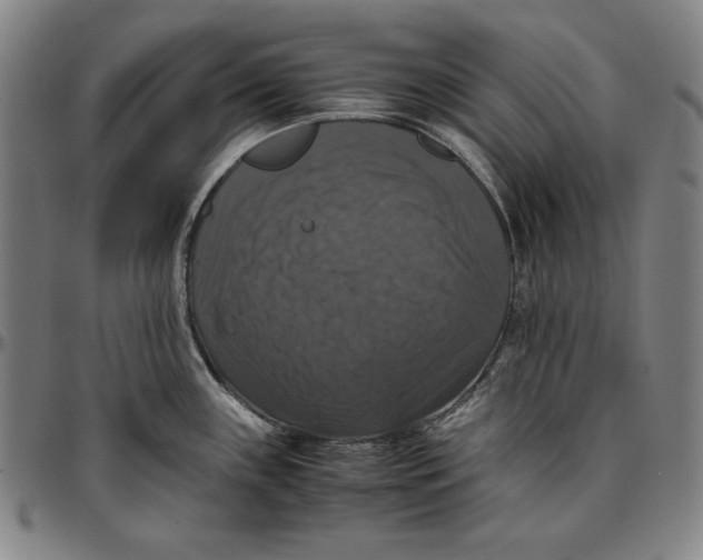 X0000097001243200802291139