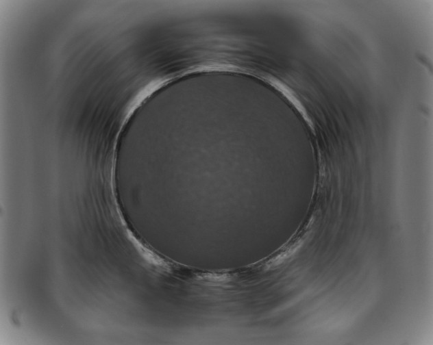 X0000097001245200802291139