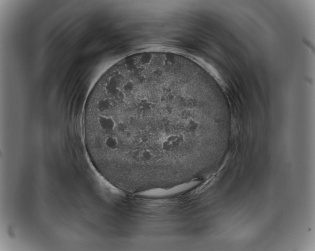 X0000097001247200802291139