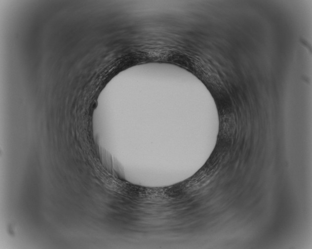 X0000097001249200802291139